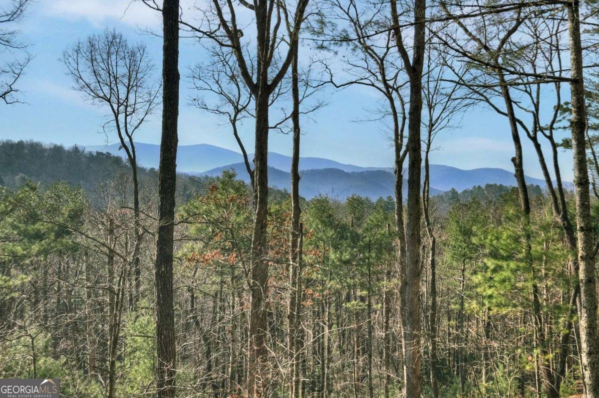 1183 Bear Paw Trail Blue Ridge - Photo 21