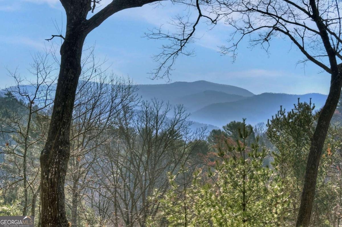 1183 Bear Paw Trail Blue Ridge - Photo 22