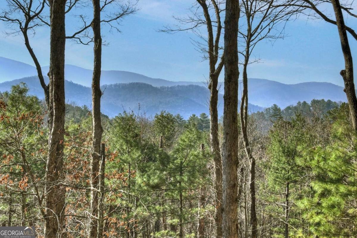 1183 Bear Paw Trail Blue Ridge - Photo 24