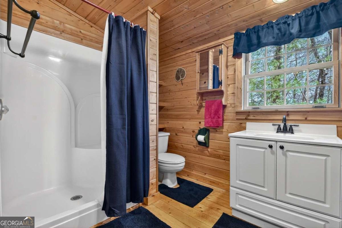 1183 Bear Paw Trail Blue Ridge - Photo 41