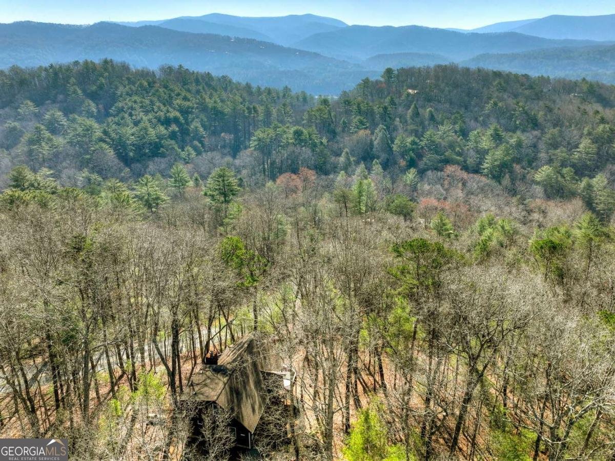 1183 Bear Paw Trail Blue Ridge - Photo 6