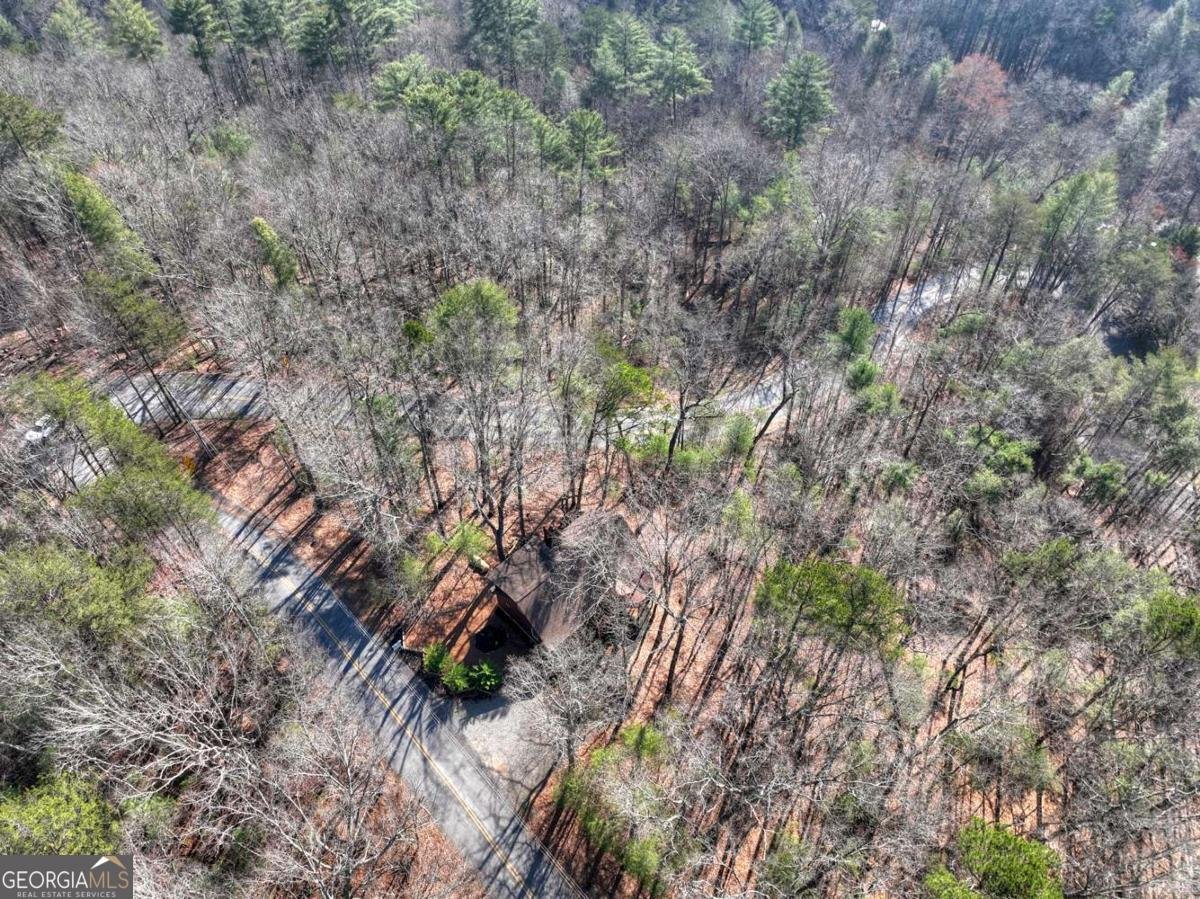 1183 Bear Paw Trail Blue Ridge - Photo 7