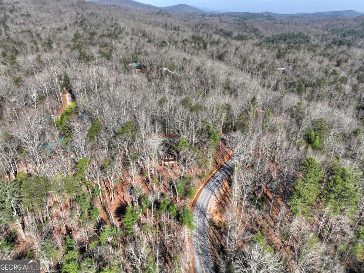 1183 Bear Paw Trail Blue Ridge - Photo 8