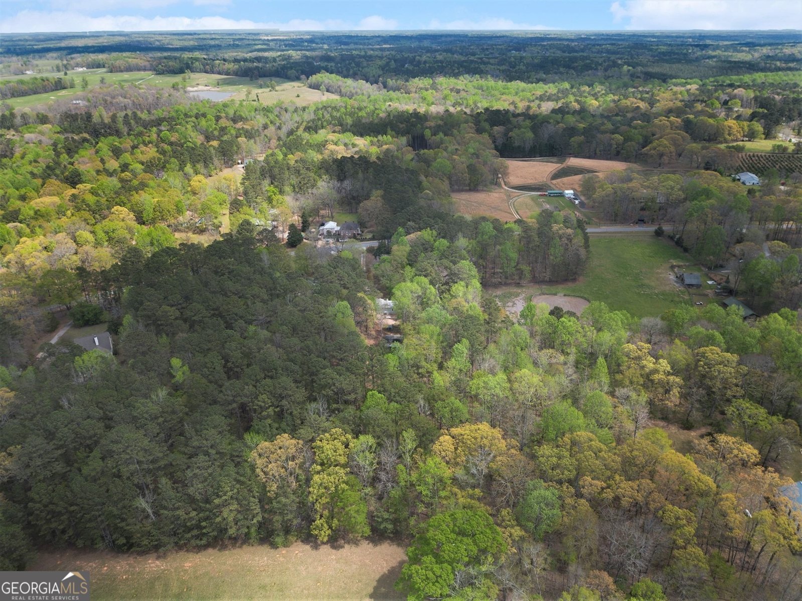 1201 Sid Hunter Road Senoia - Photo 25