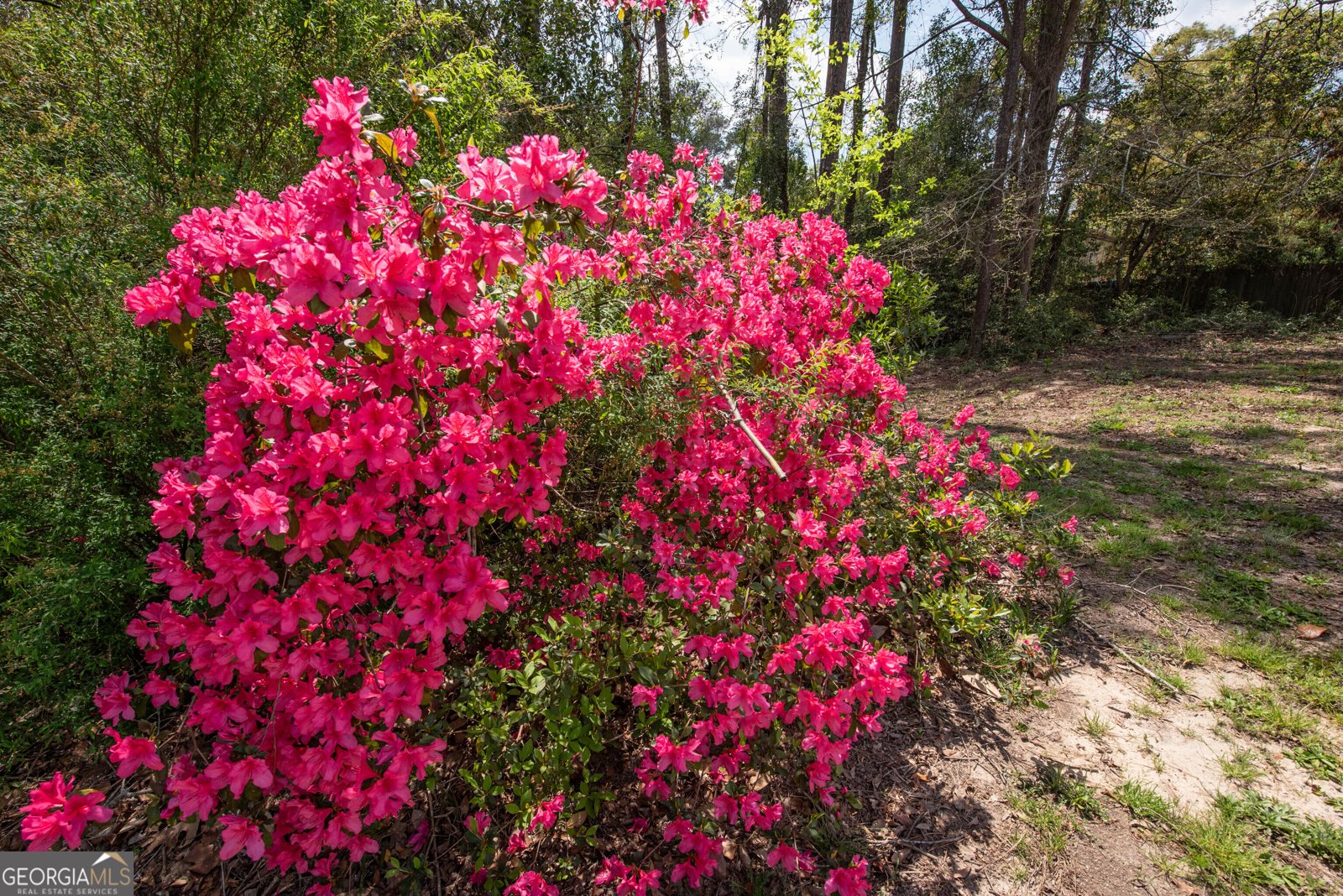 4350 Jones Road Macon - Photo 10