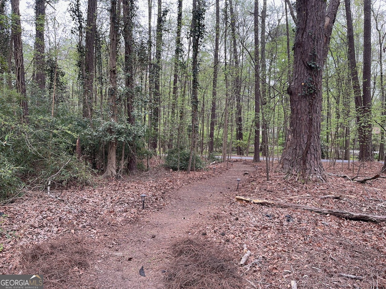 511 Planceer Place Peachtree City - Photo 26