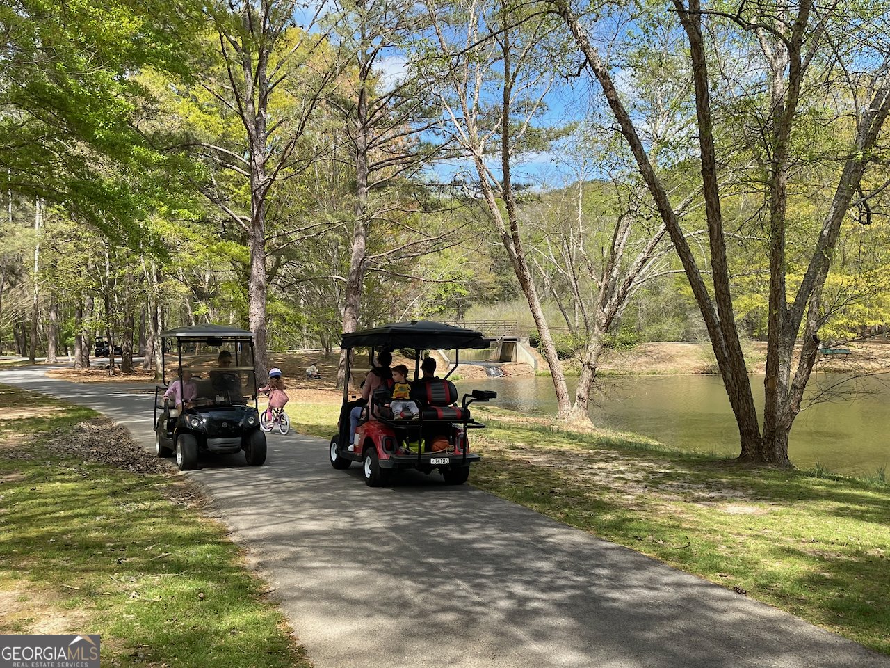 511 Planceer Place Peachtree City - Photo 28