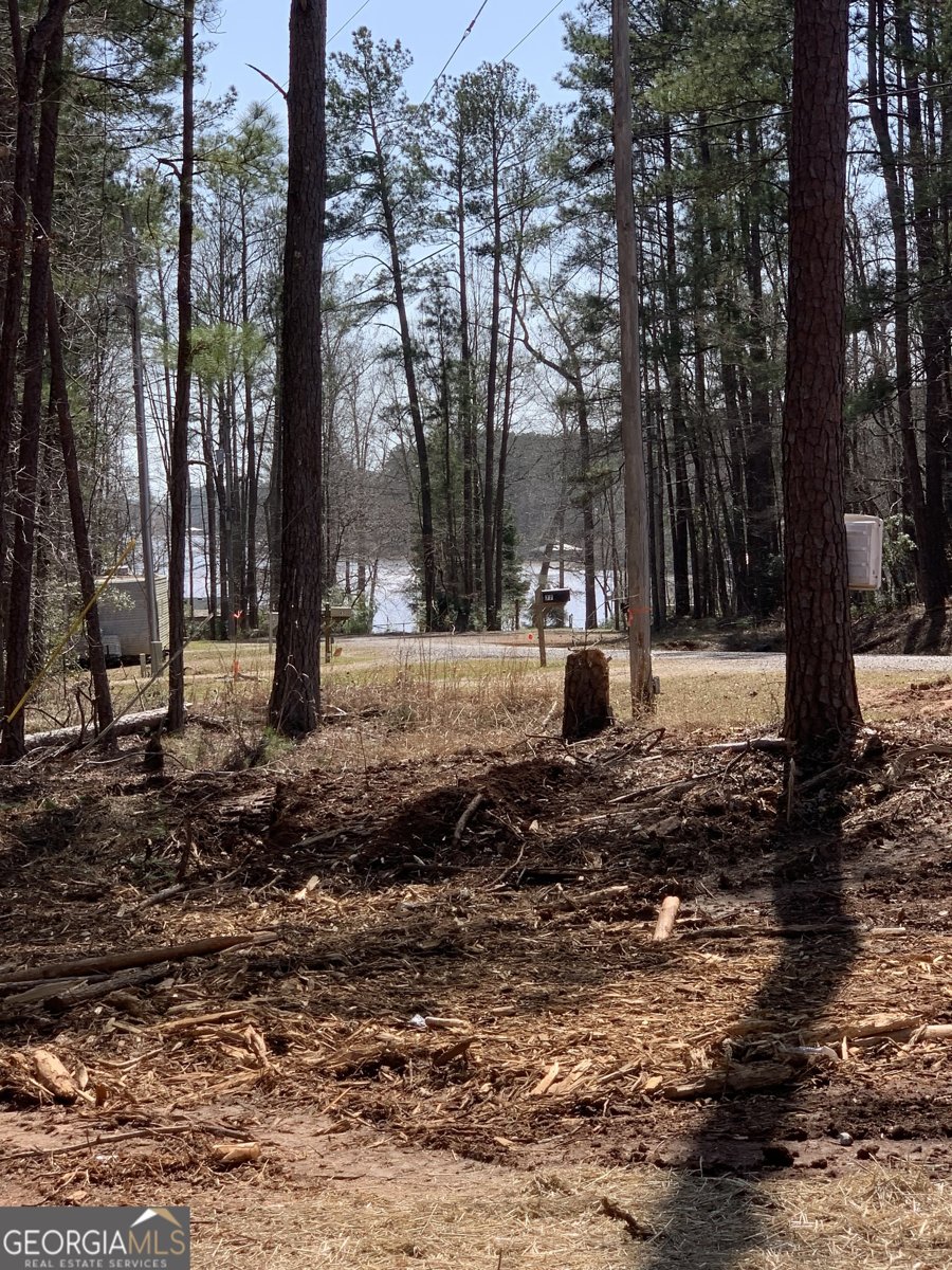 48 DOGWOOD Court Sparta - Photo 13