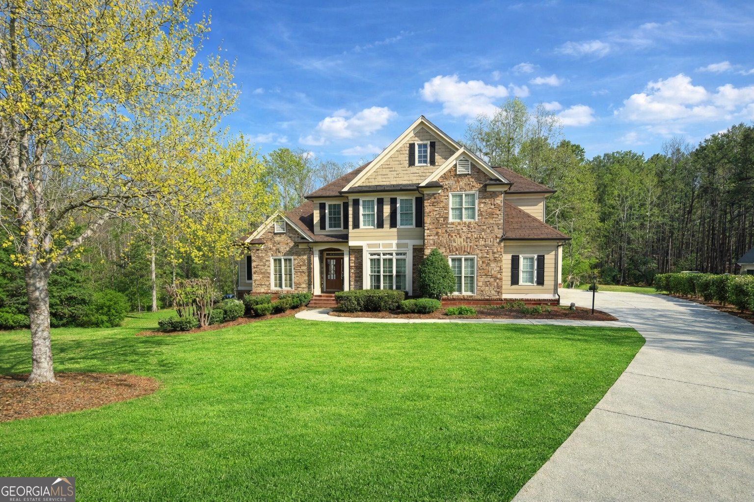 261 Chandler Walk Loganville - Photo 1