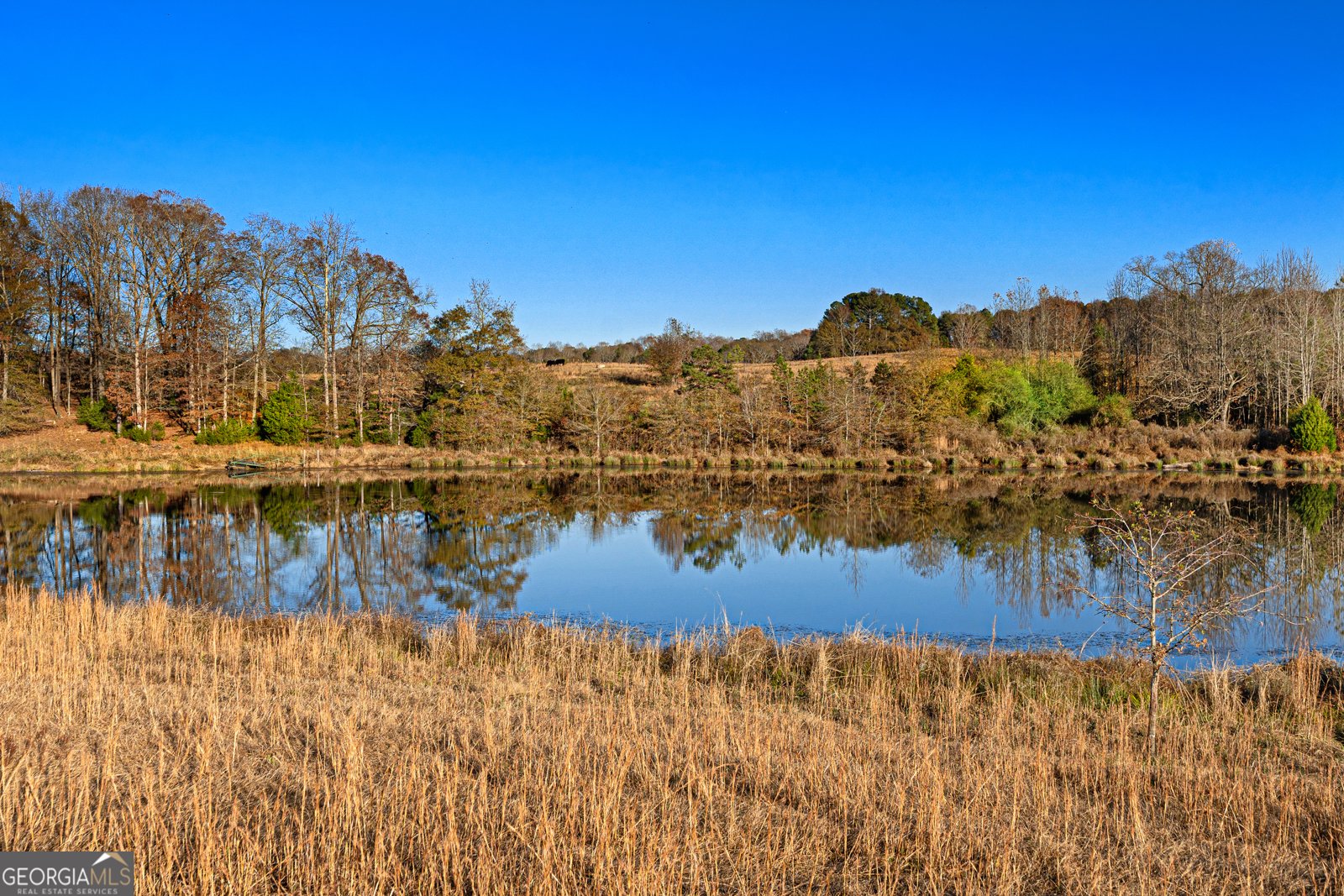 1866 WHIPPOORWILL Trail Hartwell - Photo 24