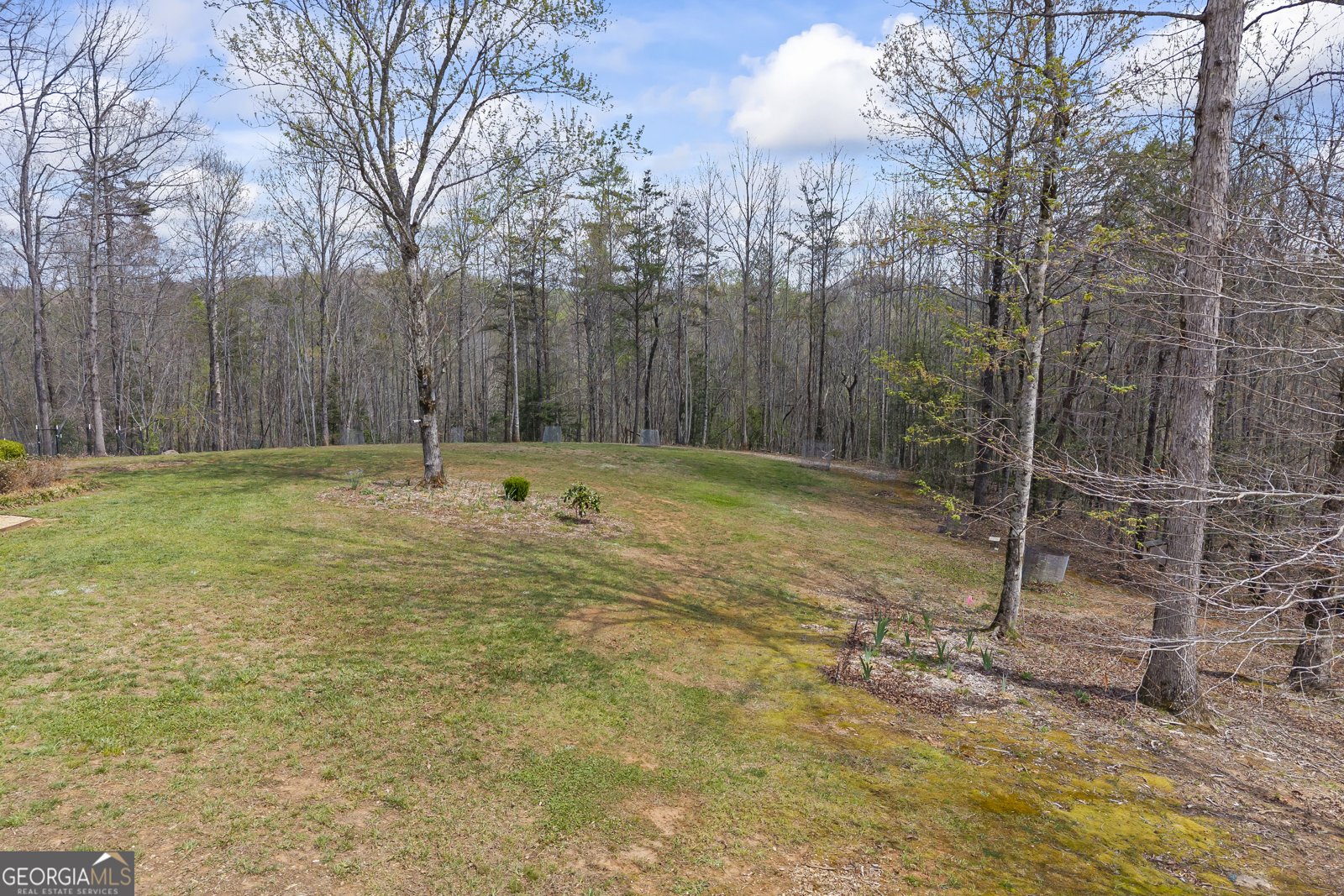 5240 Highway 17 Clarkesville - Photo 16