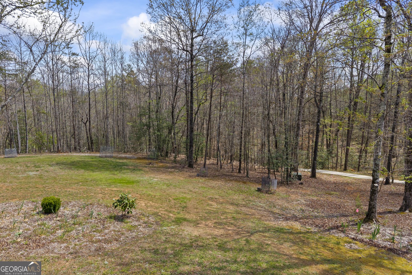 5240 Highway 17 Clarkesville - Photo 17
