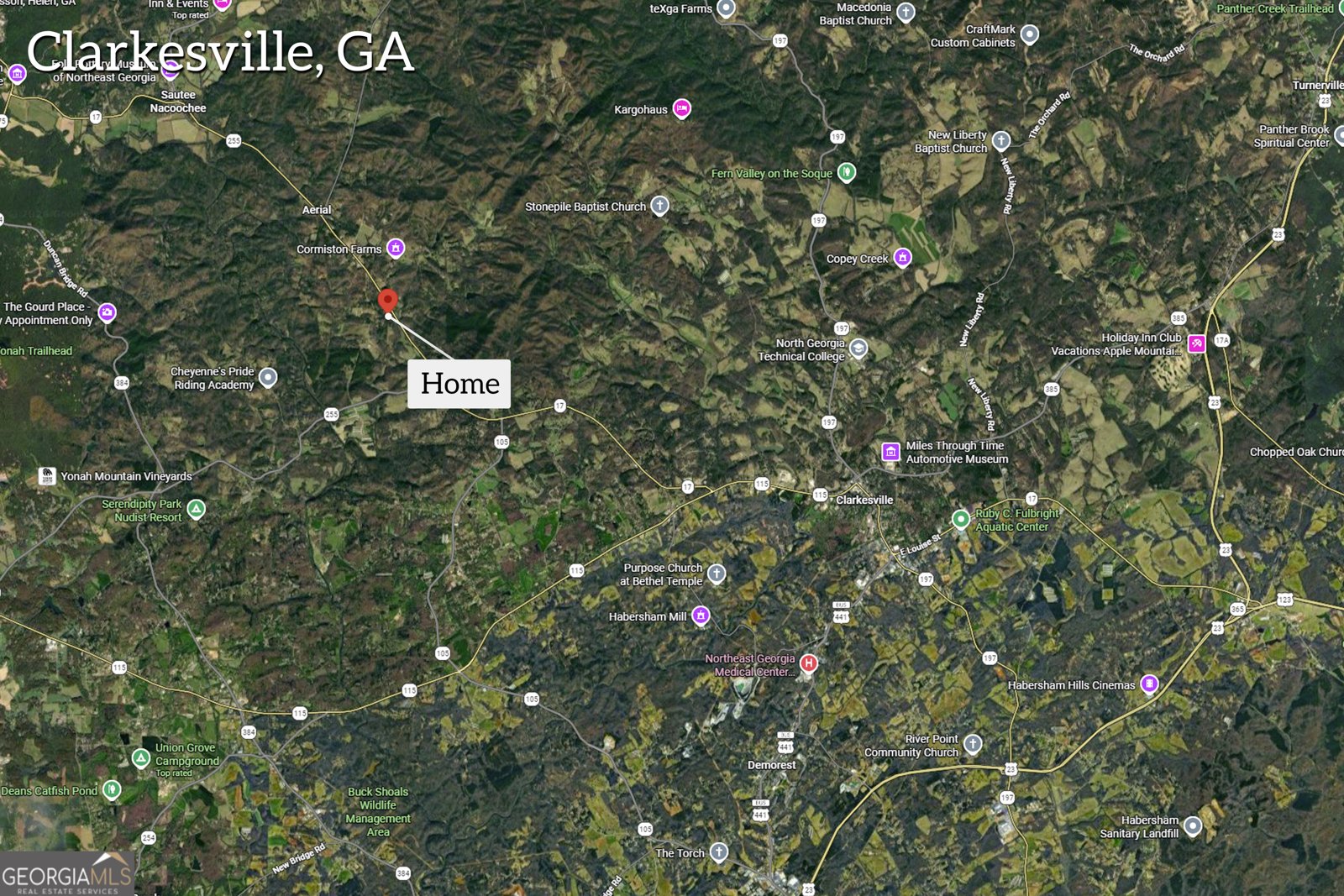 5240 Highway 17 Clarkesville - Photo 71