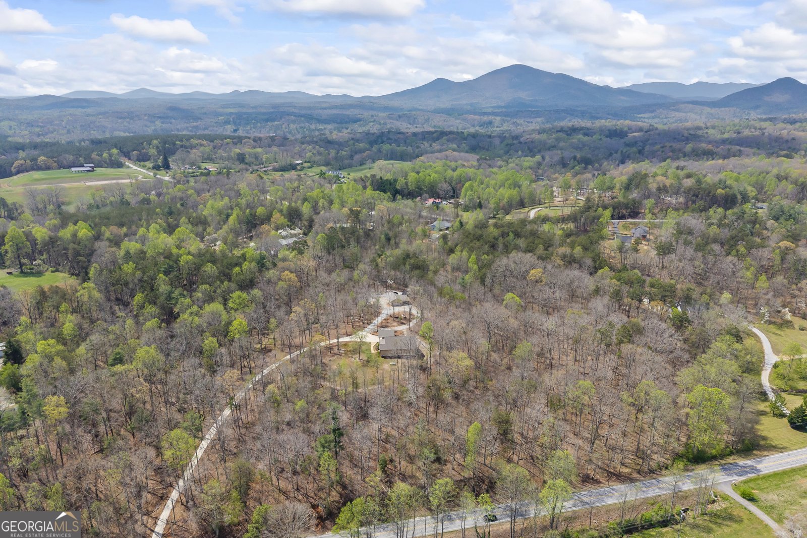5240 Highway 17 Clarkesville - Photo 75