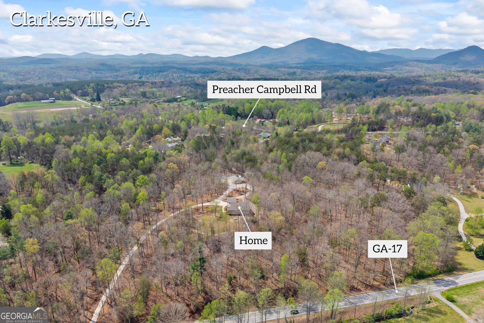 5240 Highway 17 Clarkesville - Photo 76