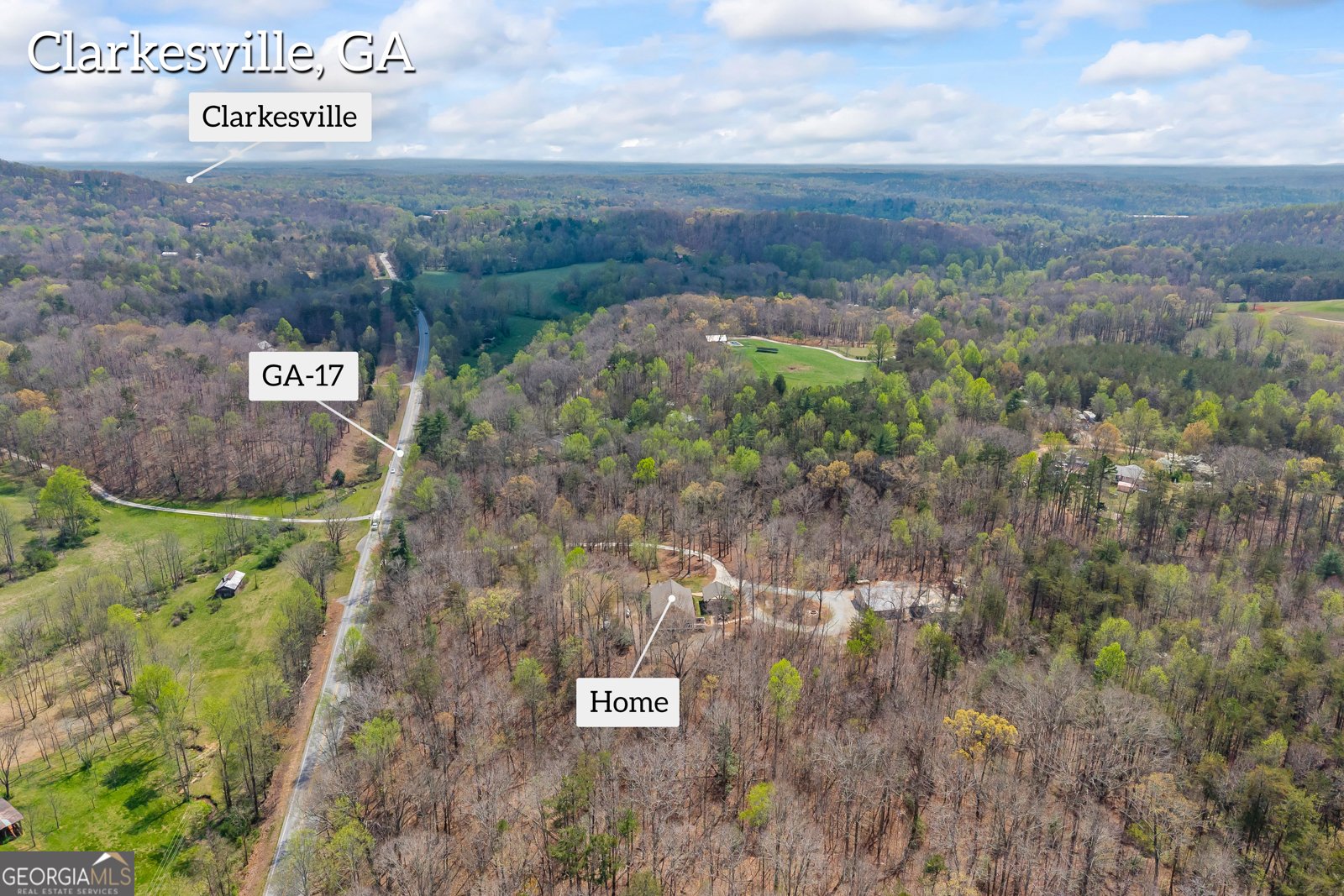 5240 Highway 17 Clarkesville - Photo 78