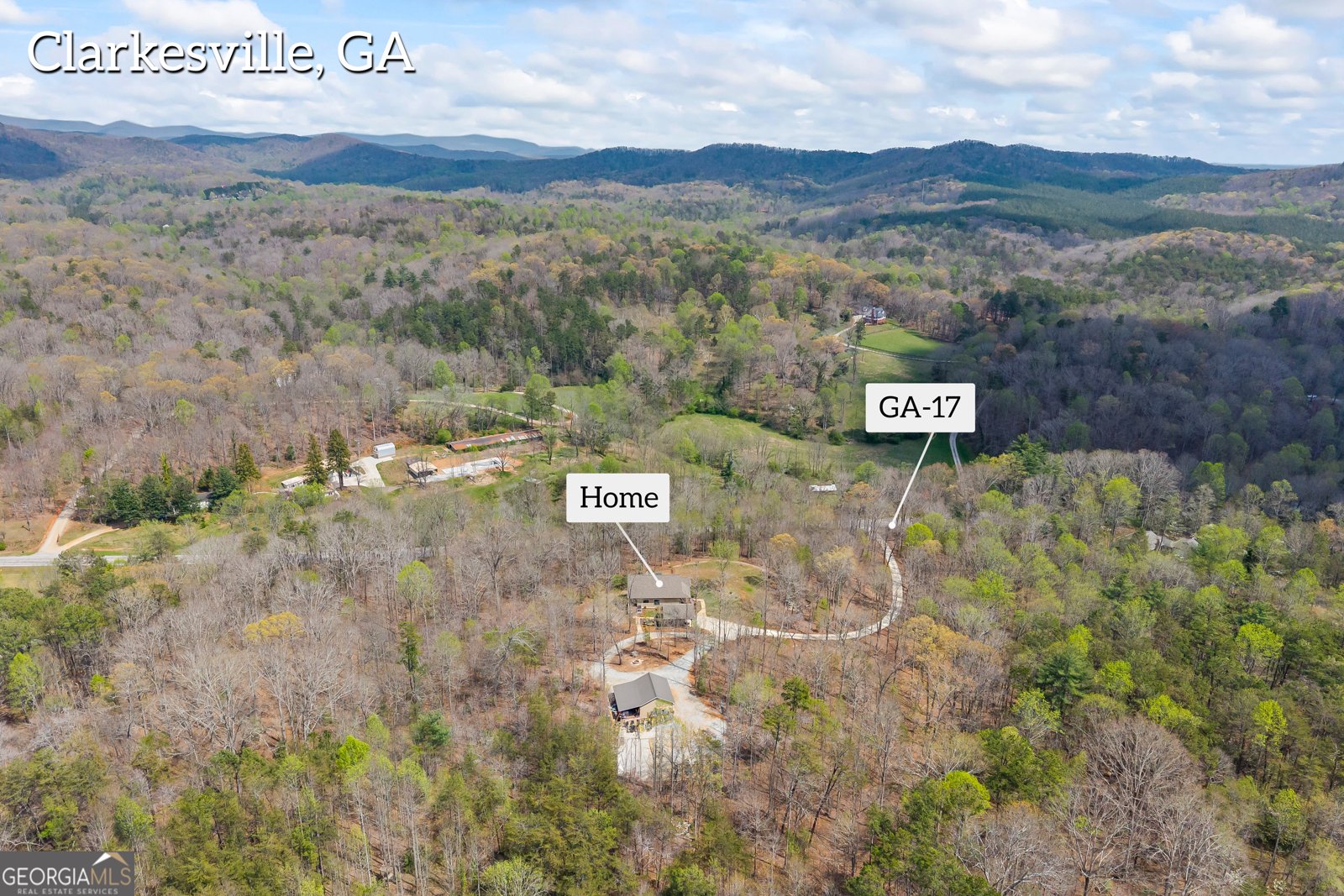 5240 Highway 17 Clarkesville - Photo 81