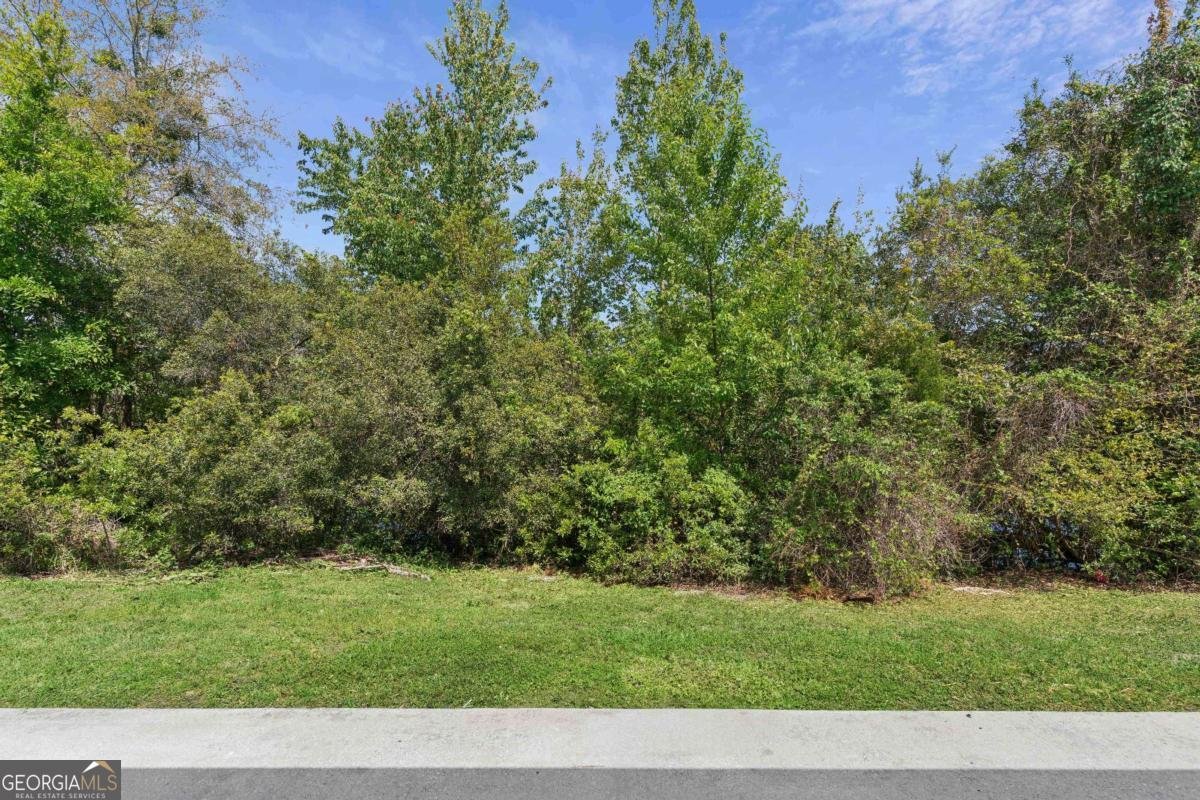 136 Lake Jordan Boulevard Kingsland - Photo 29