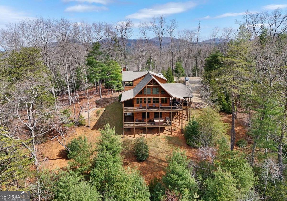 365 Aska Forest Trail Blue Ridge - Photo 10