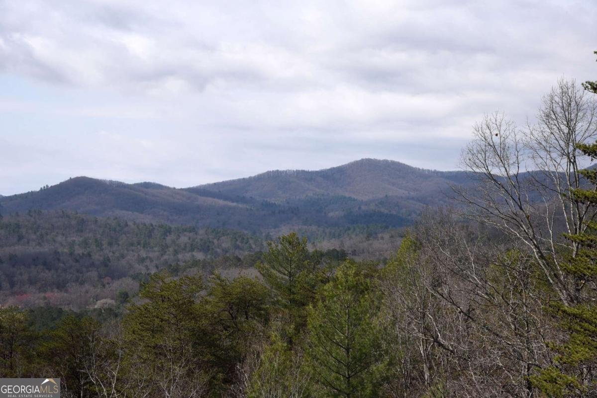 365 Aska Forest Trail Blue Ridge - Photo 11