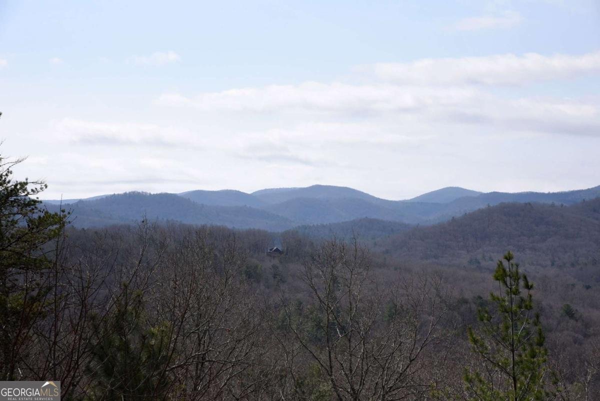 365 Aska Forest Trail Blue Ridge - Photo 22