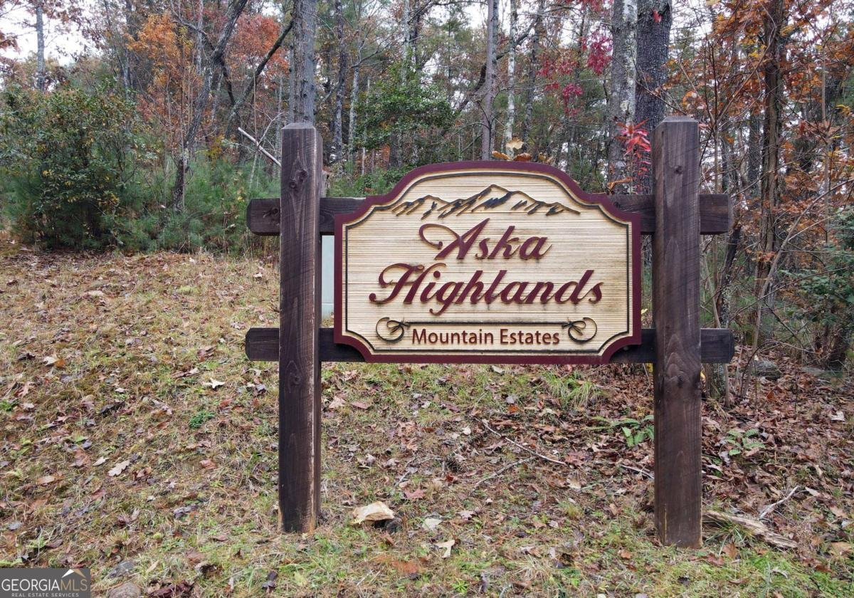 365 Aska Forest Trail Blue Ridge - Photo 57