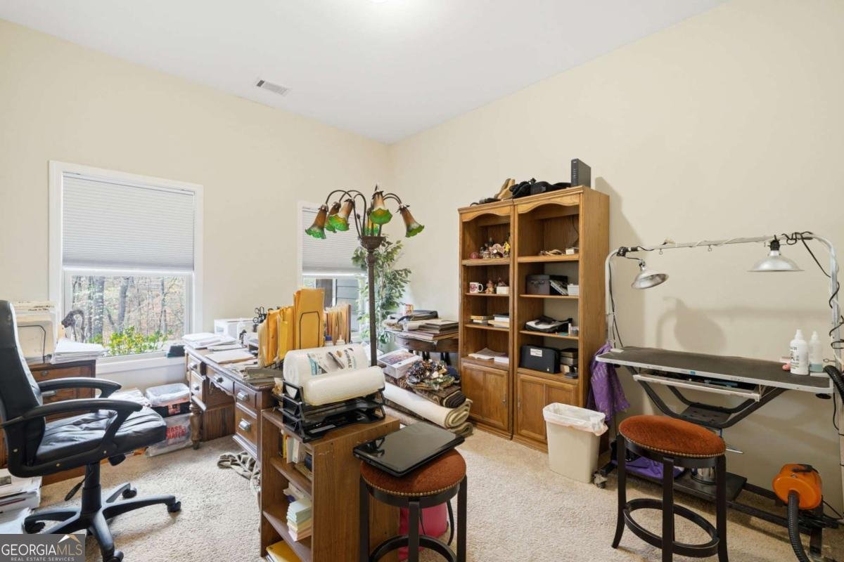 129 White Antelope Street Waleska - Photo 7