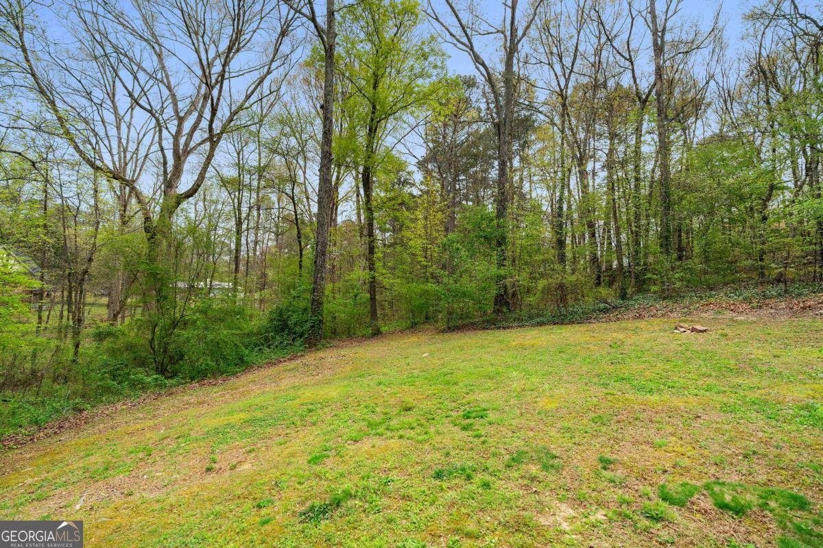 30 Azalea Drive Cartersville - Photo 30