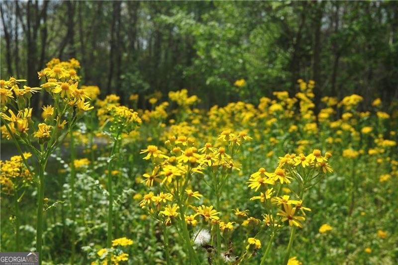 480 Fouse Court Marietta - Photo 55