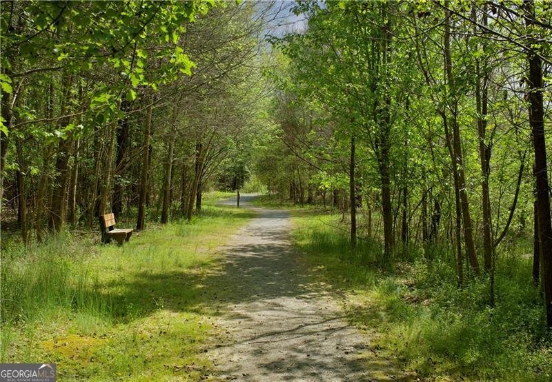 480 Fouse Court Marietta - Photo 56