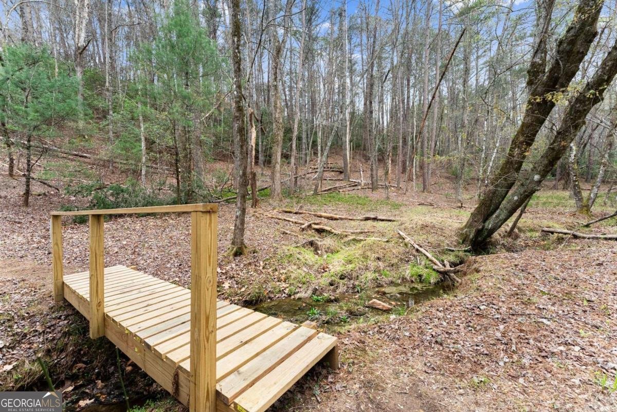 301 Hawks Nest Sautee Nacoochee - Photo 29