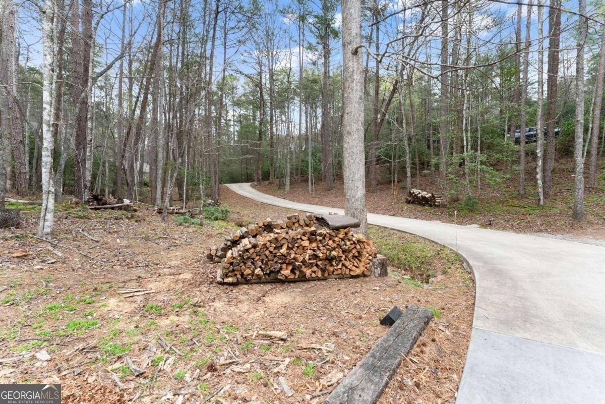 301 Hawks Nest Sautee Nacoochee - Photo 31