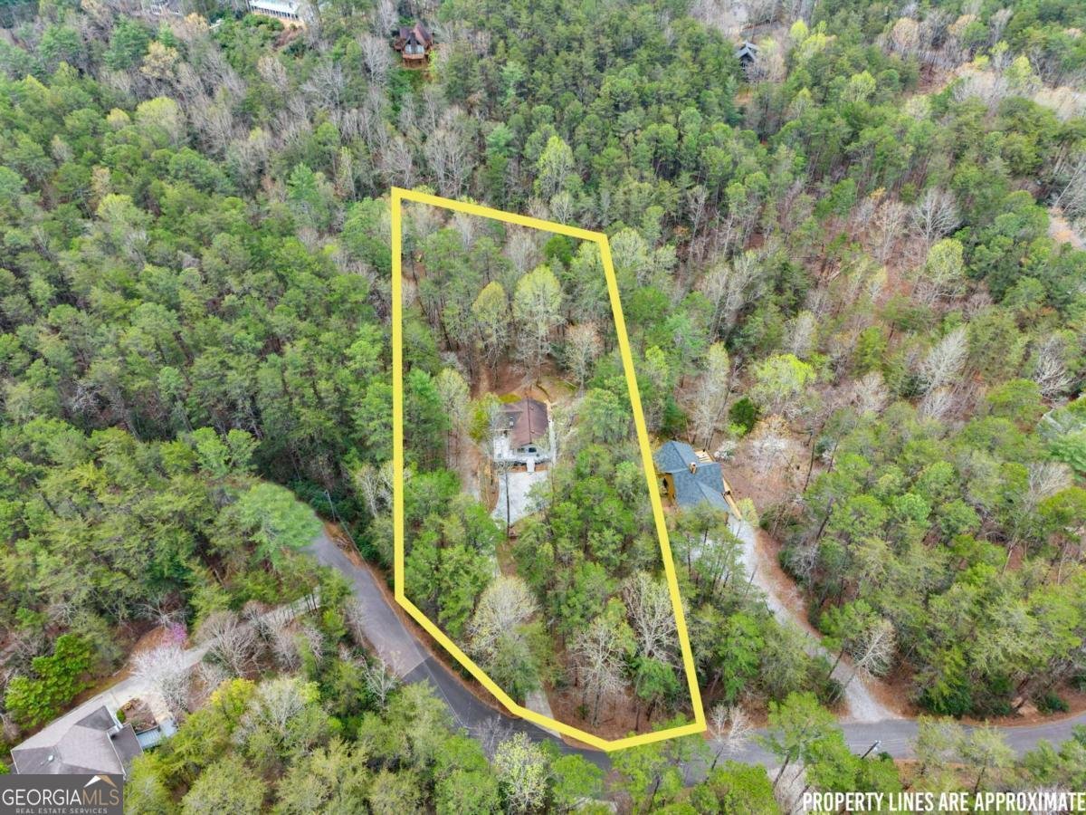 301 Hawks Nest Sautee Nacoochee - Photo 32