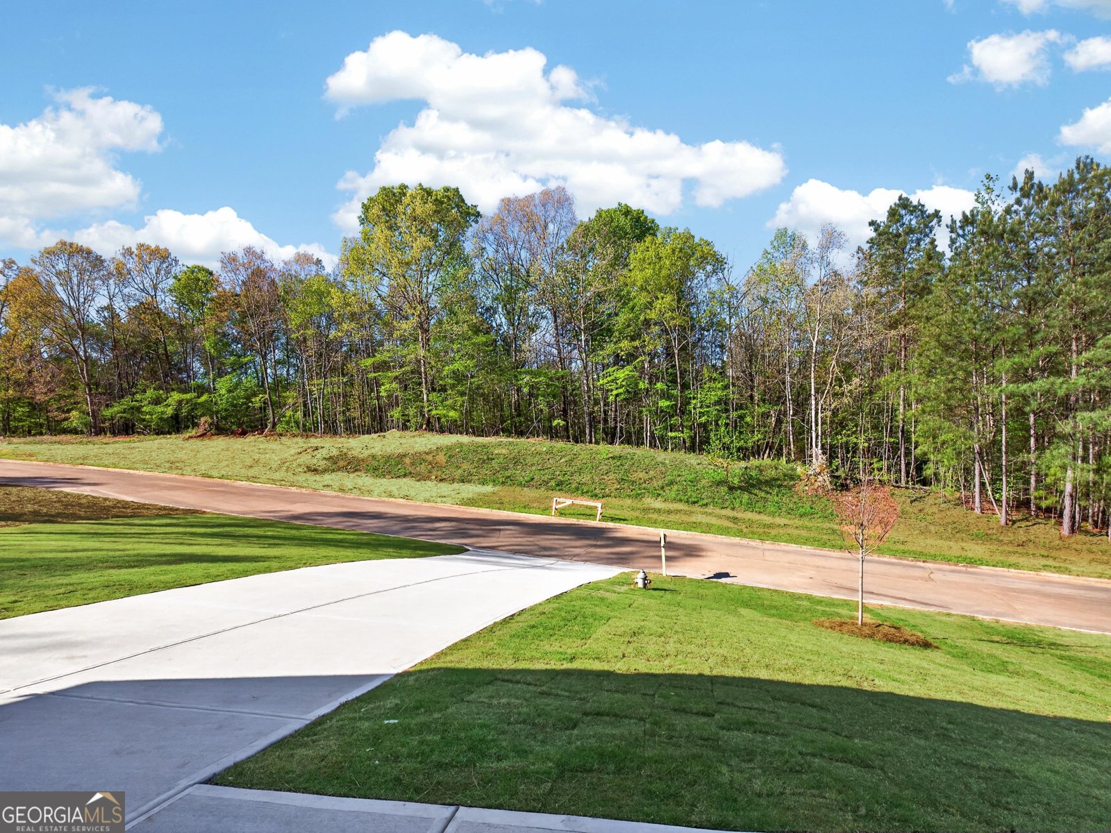 209 Wisteria Lane Mansfield - Photo 63