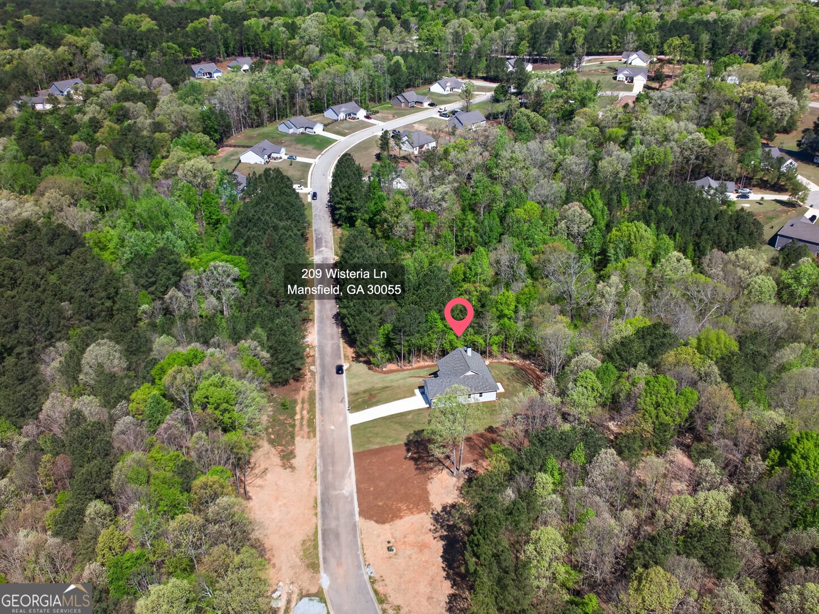 209 Wisteria Lane Mansfield - Photo 65