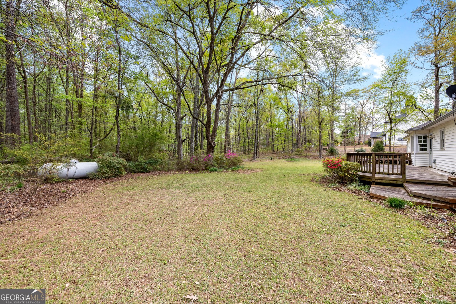 63 Addy Road Senoia - Photo 43