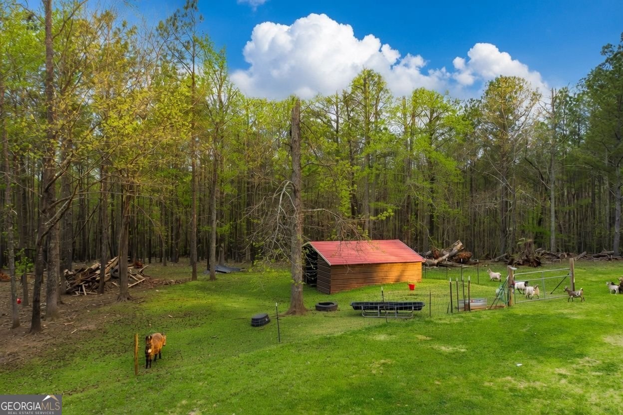 7933 Giles Road Douglasville - Photo 15