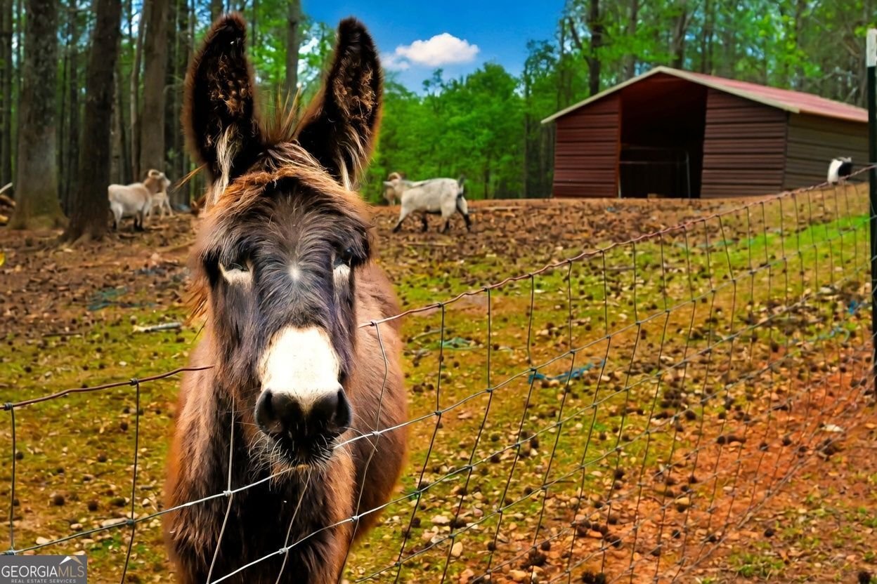 7933 Giles Road Douglasville - Photo 16