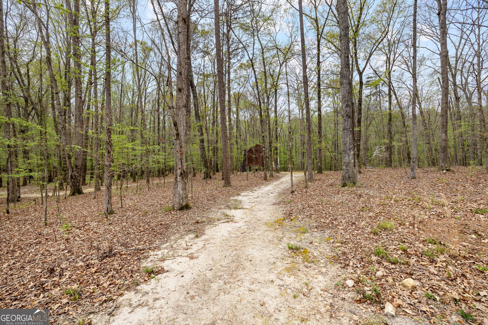 215 Diamond Point Fayetteville - Photo 127