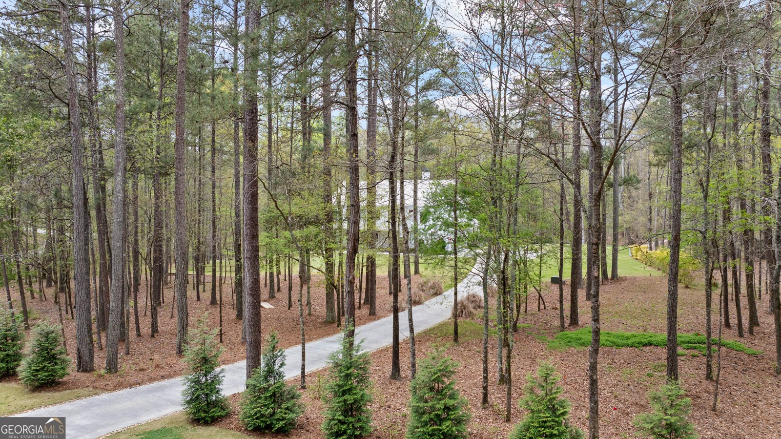 215 Diamond Point Fayetteville - Photo 13