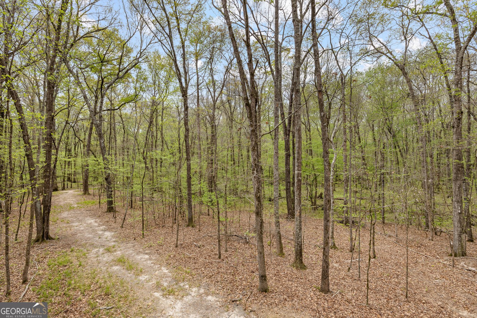 215 Diamond Point Fayetteville - Photo 131