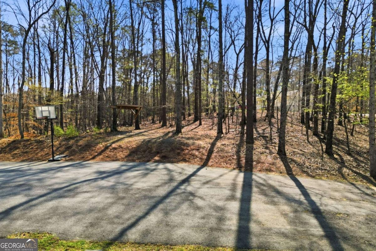 251 Fields Landing Drive Canton - Photo 47