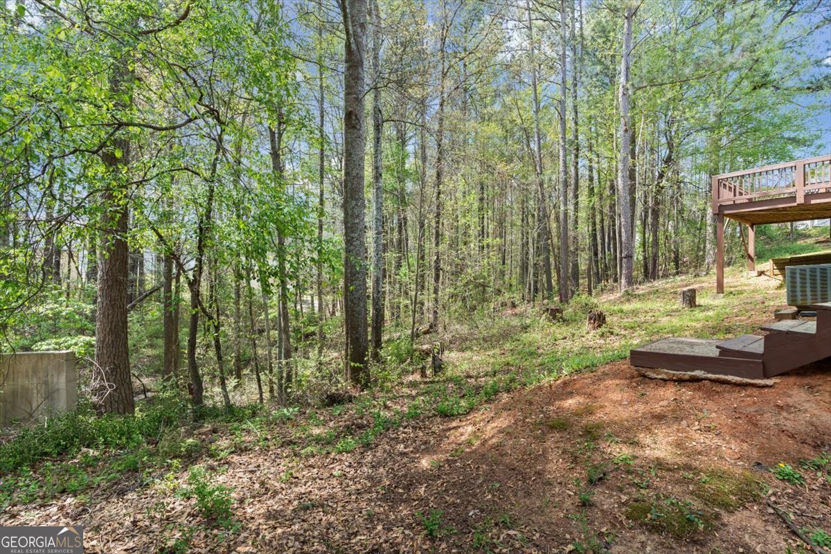 508 Shaggy Hickory Trail Palmetto - Photo 37