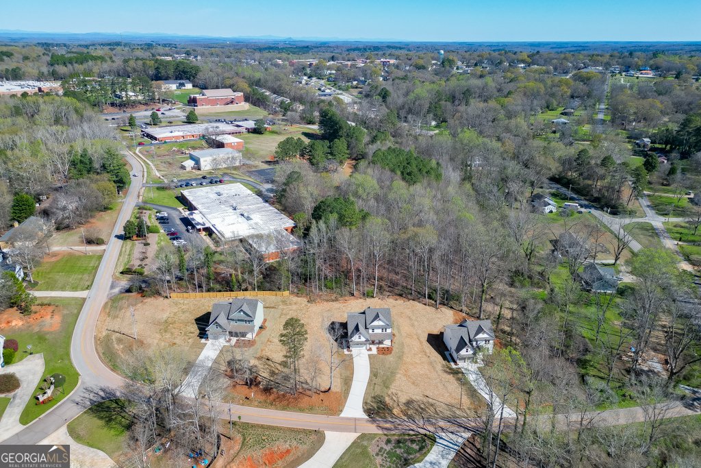 1003 Lakeview Commerce - Photo 47