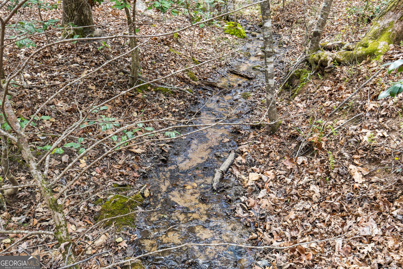 161 Arbor Way Blue Ridge - Photo 41