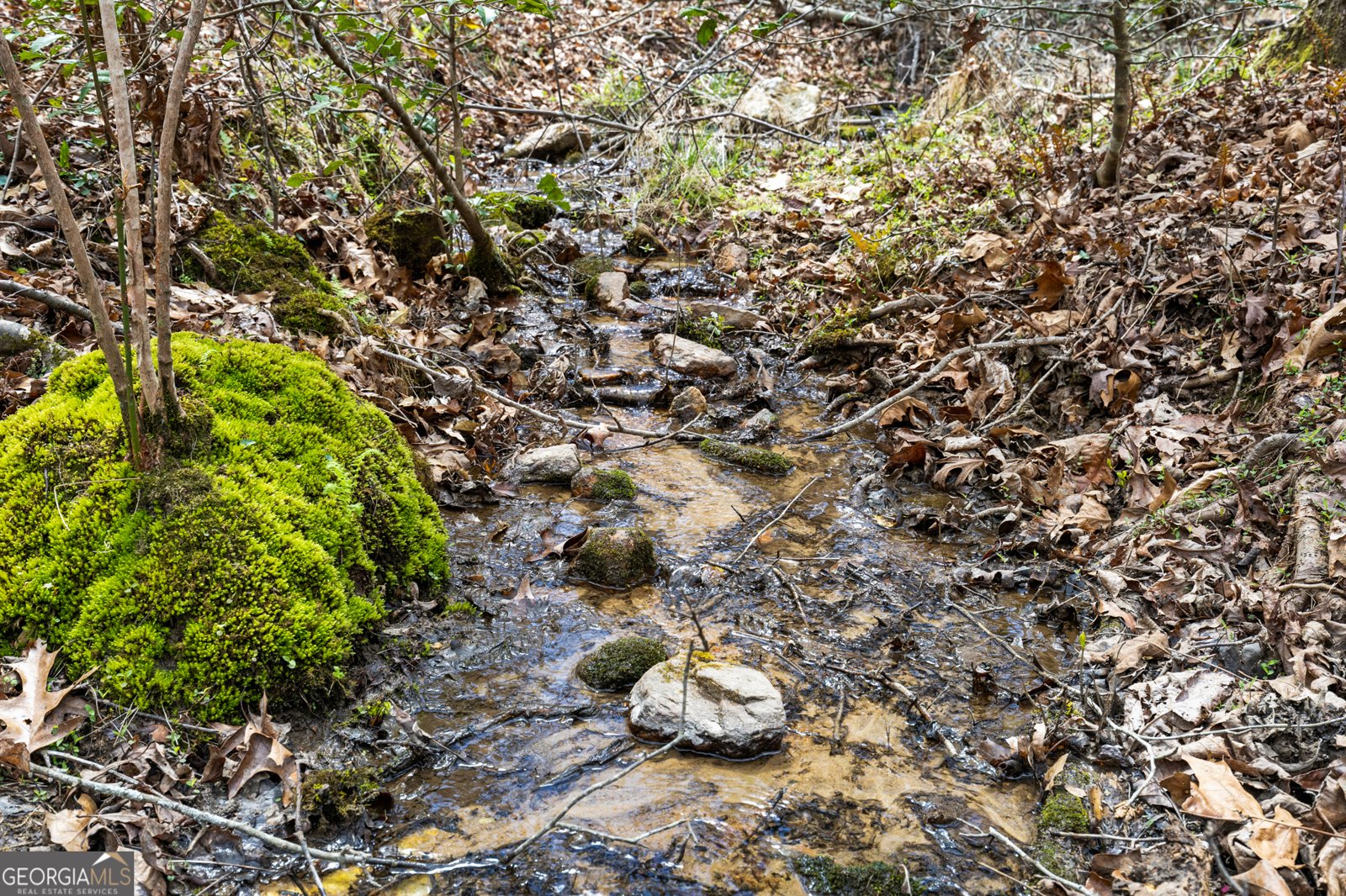 161 Arbor Way Blue Ridge - Photo 42