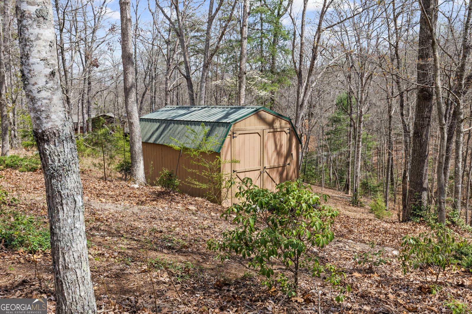 161 Arbor Way Blue Ridge - Photo 48