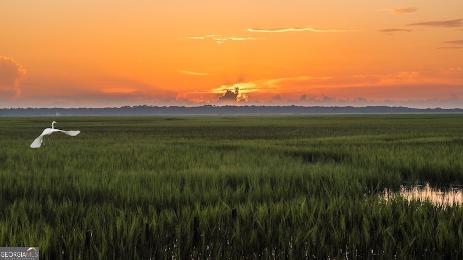 210 Placid Road St. Marys - Photo 43