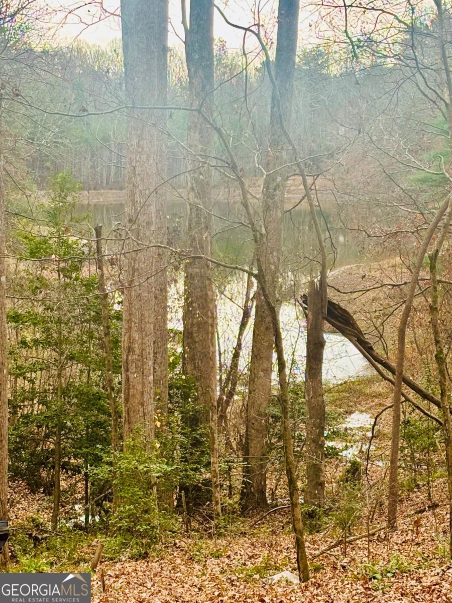 1048 Echota Road Clarkesville - Photo 34