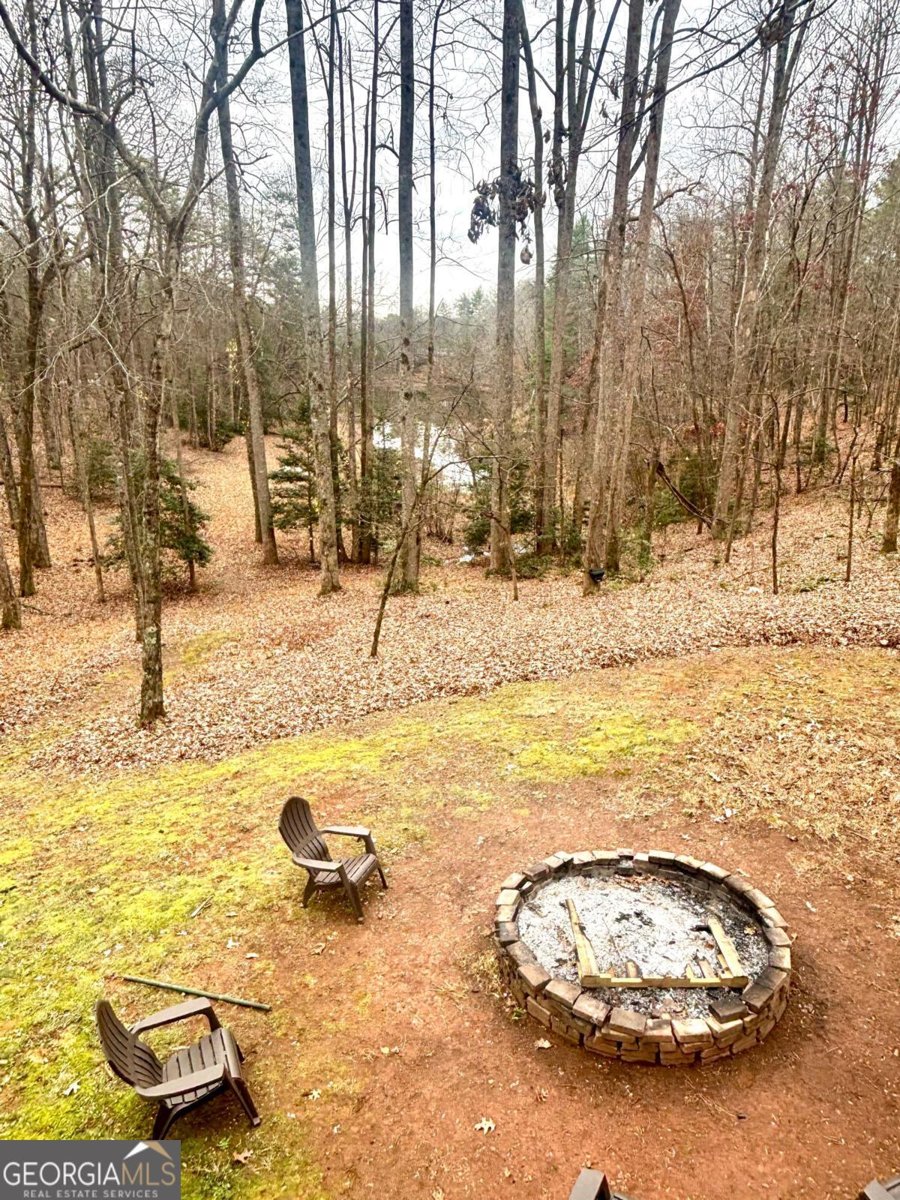 1048 Echota Road Clarkesville - Photo 38